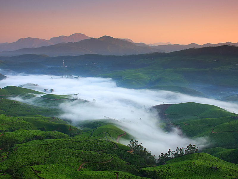 Munnar homestay: Nest Cottages homestay in munnar